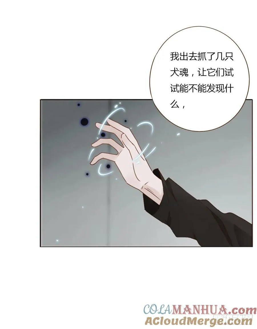八十三章 虎妖的气息 第17页