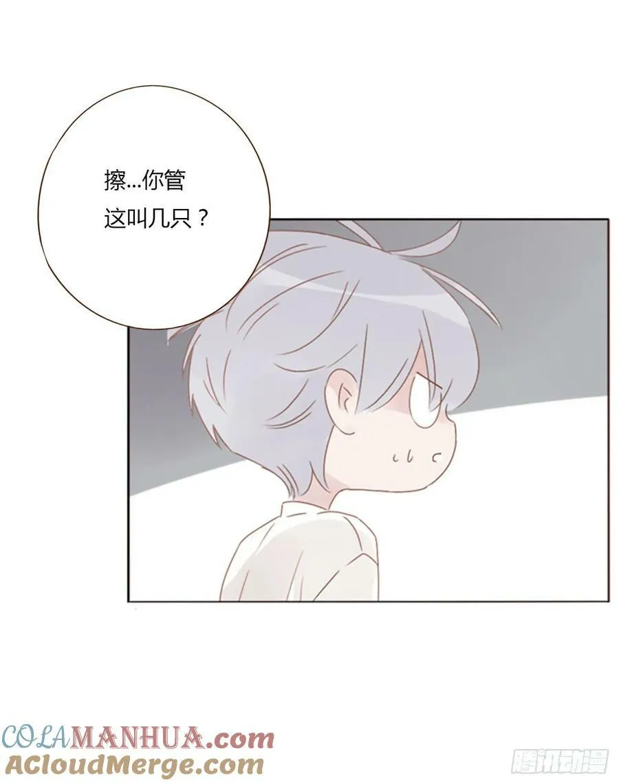 八十三章 虎妖的气息 第19页
