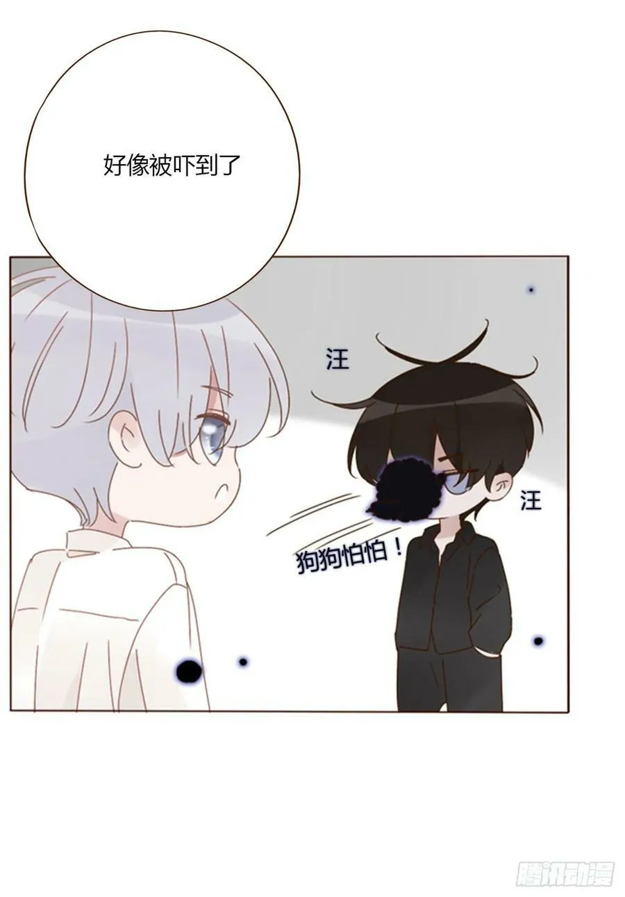 八十三章 虎妖的气息 第26页