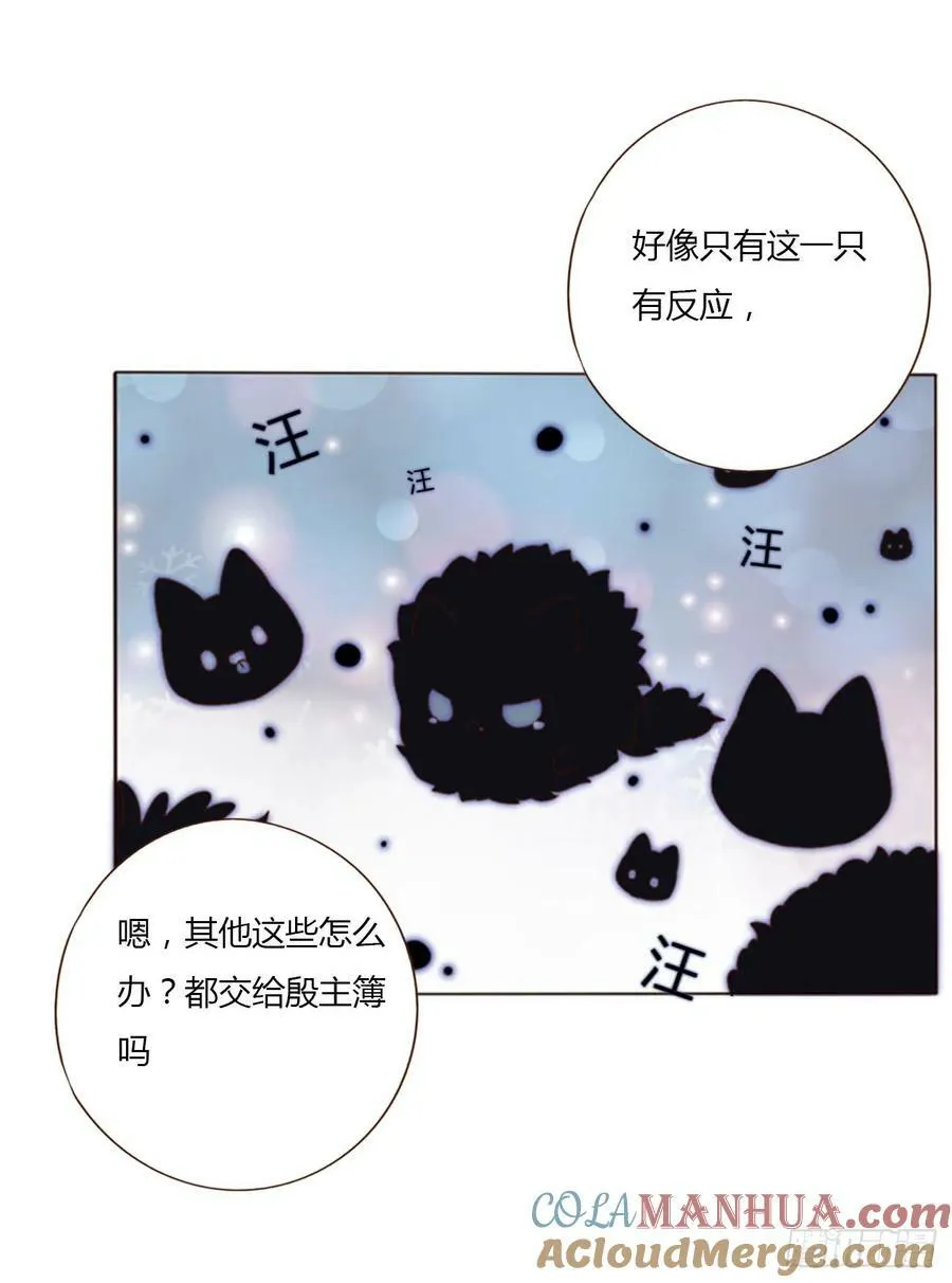 八十三章 虎妖的气息 第31页
