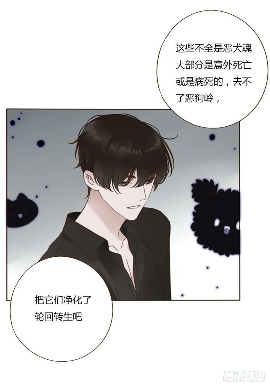 八十三章 虎妖的气息 第32页