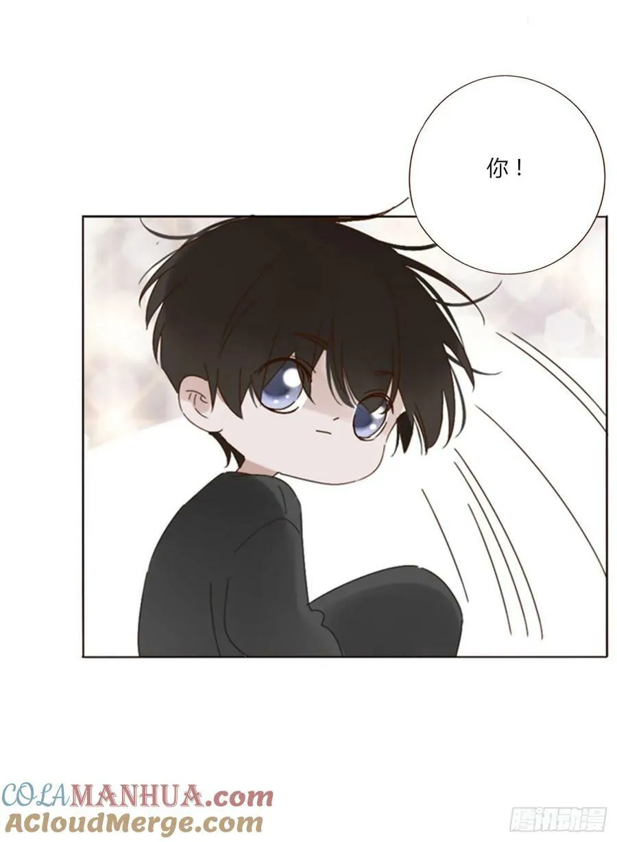 八十六章 合作2 第33页
