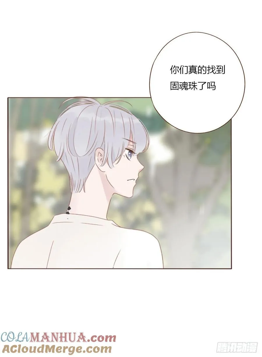 九十四章 固魂珠3 第3页