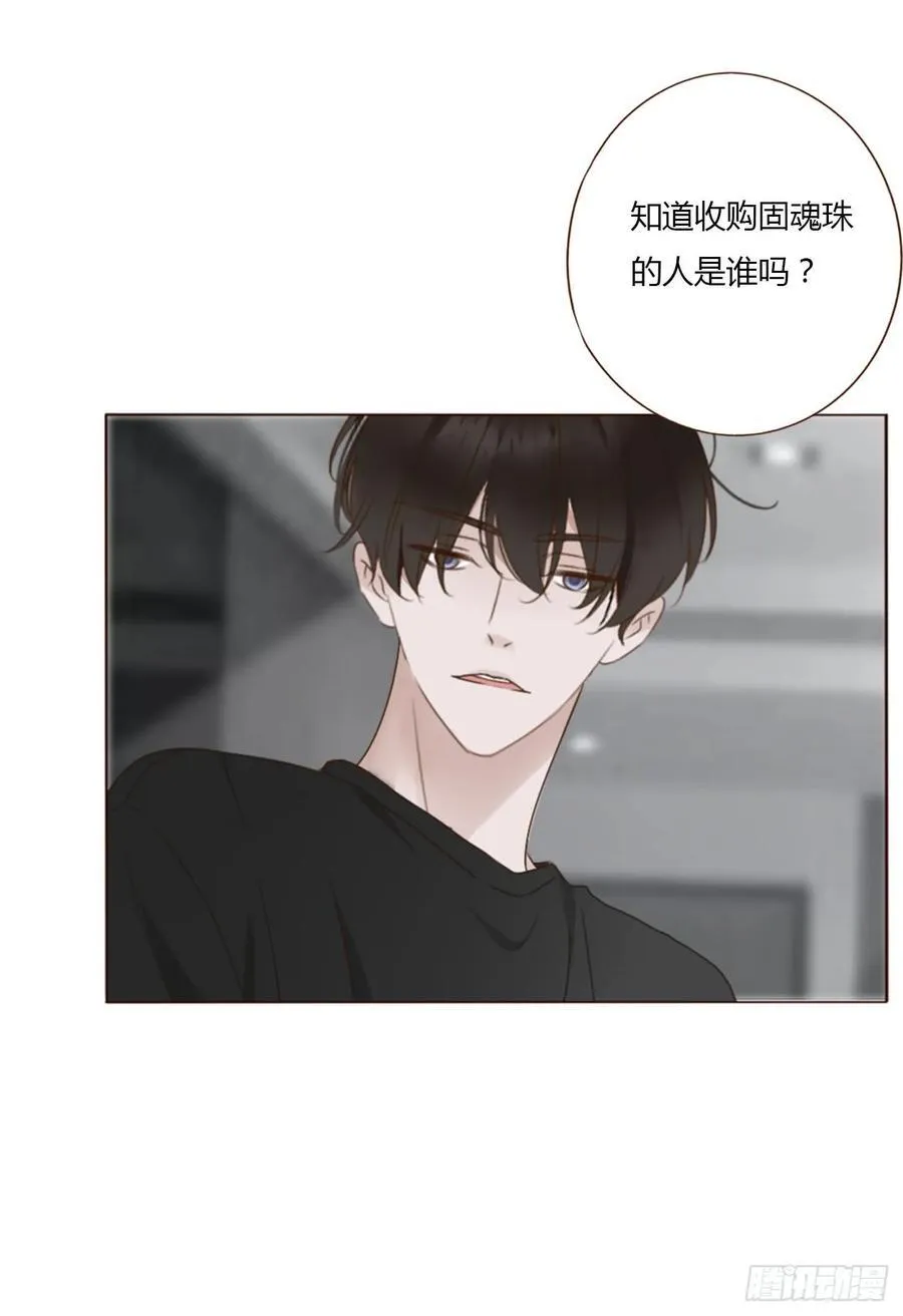 九十三章 固魂珠2 第6页