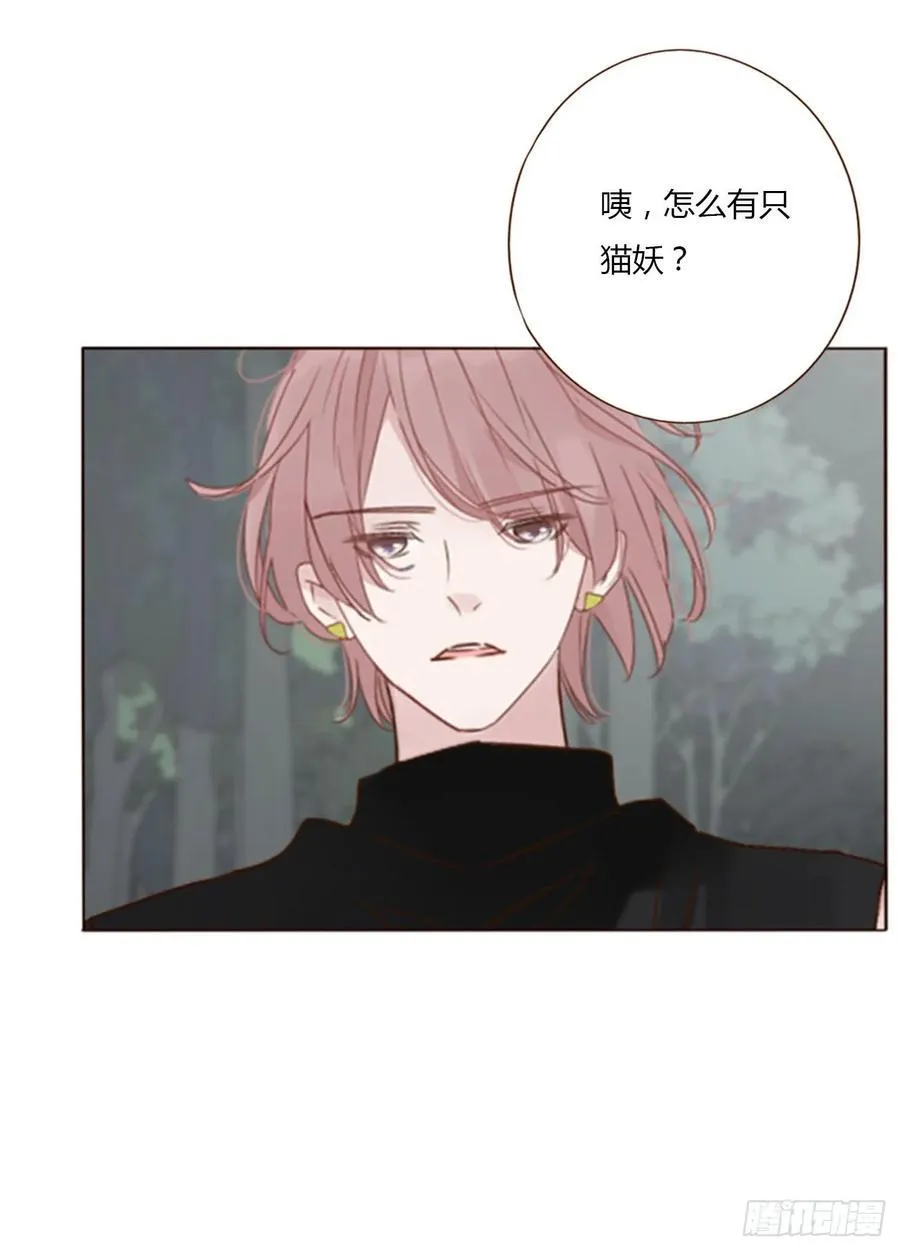九十六章 控魂1 第6页