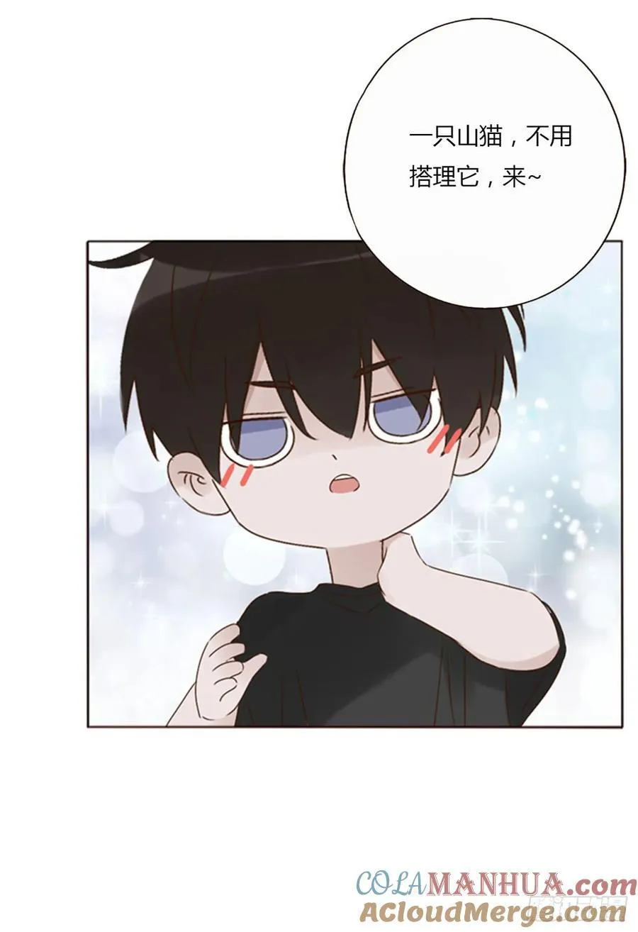九十五章 小雪宝 第21页