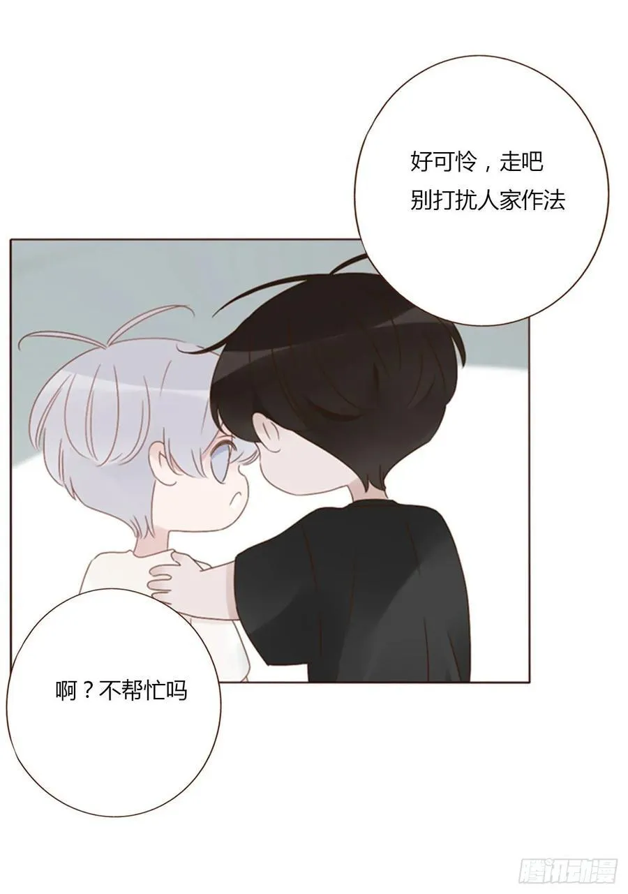 九十五章 小雪宝 第30页
