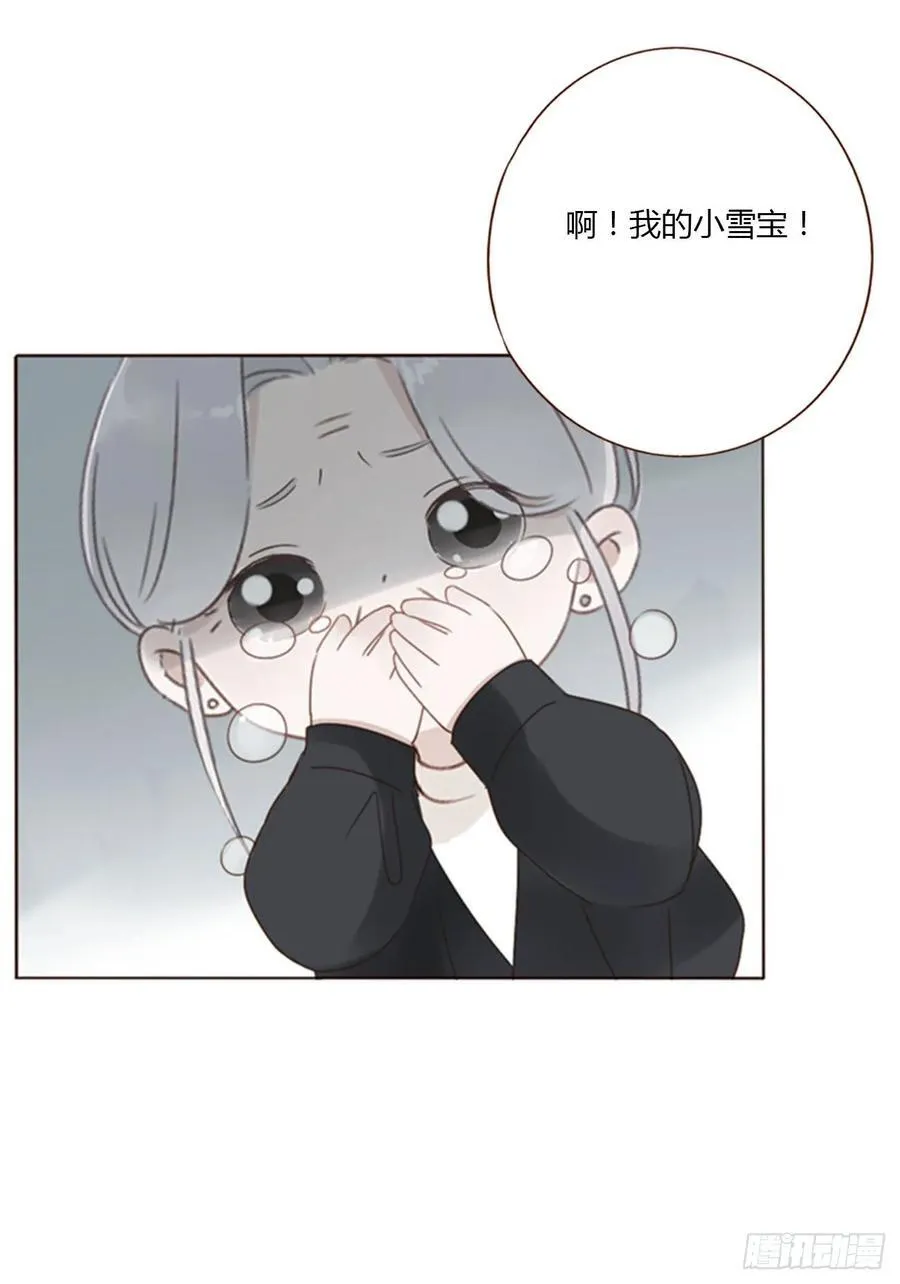 九十五章 小雪宝 第38页
