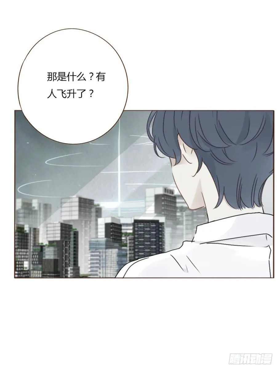 宝贝 第4页