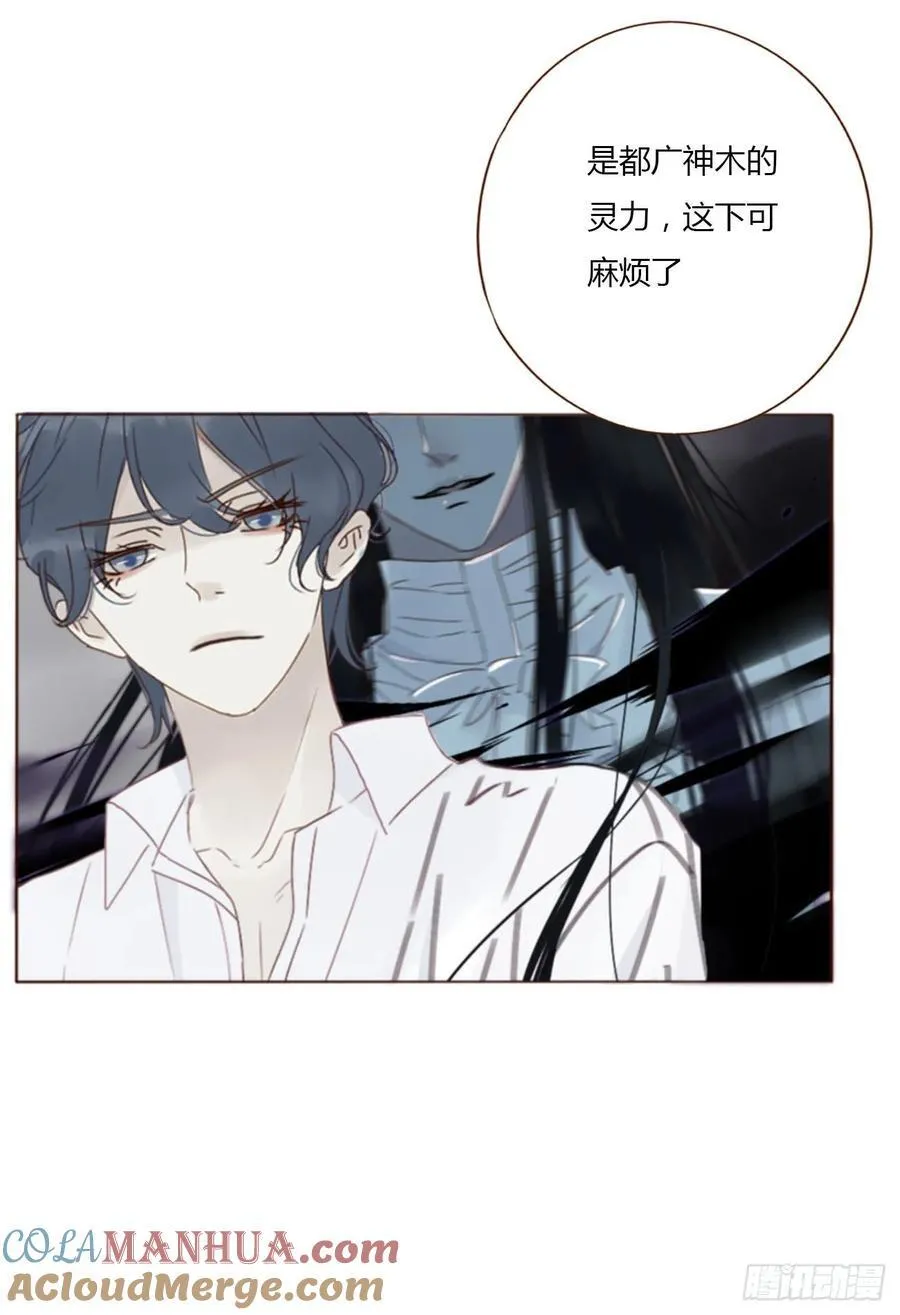 宝贝 第5页