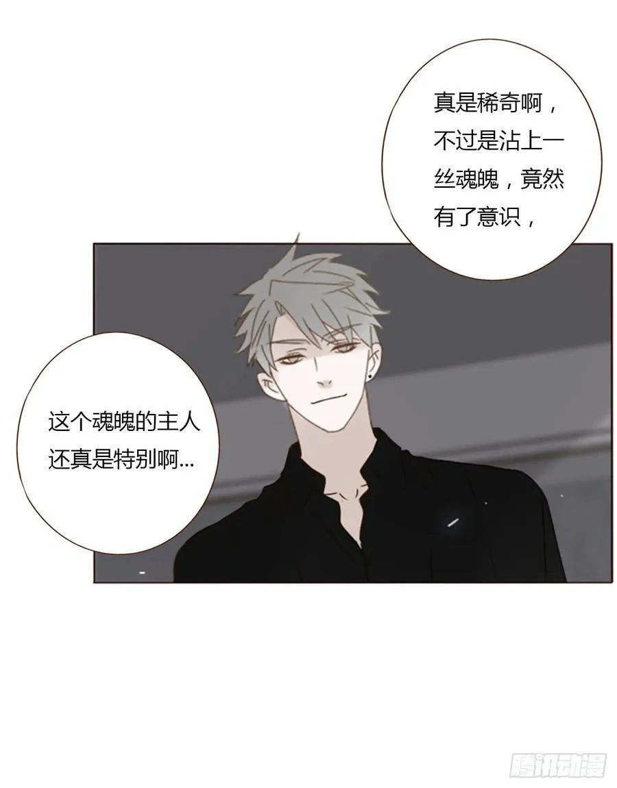 九十九章 神力 第8页