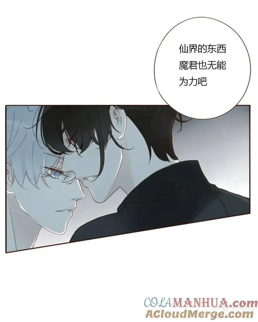 一零八章 前世记忆 第13页