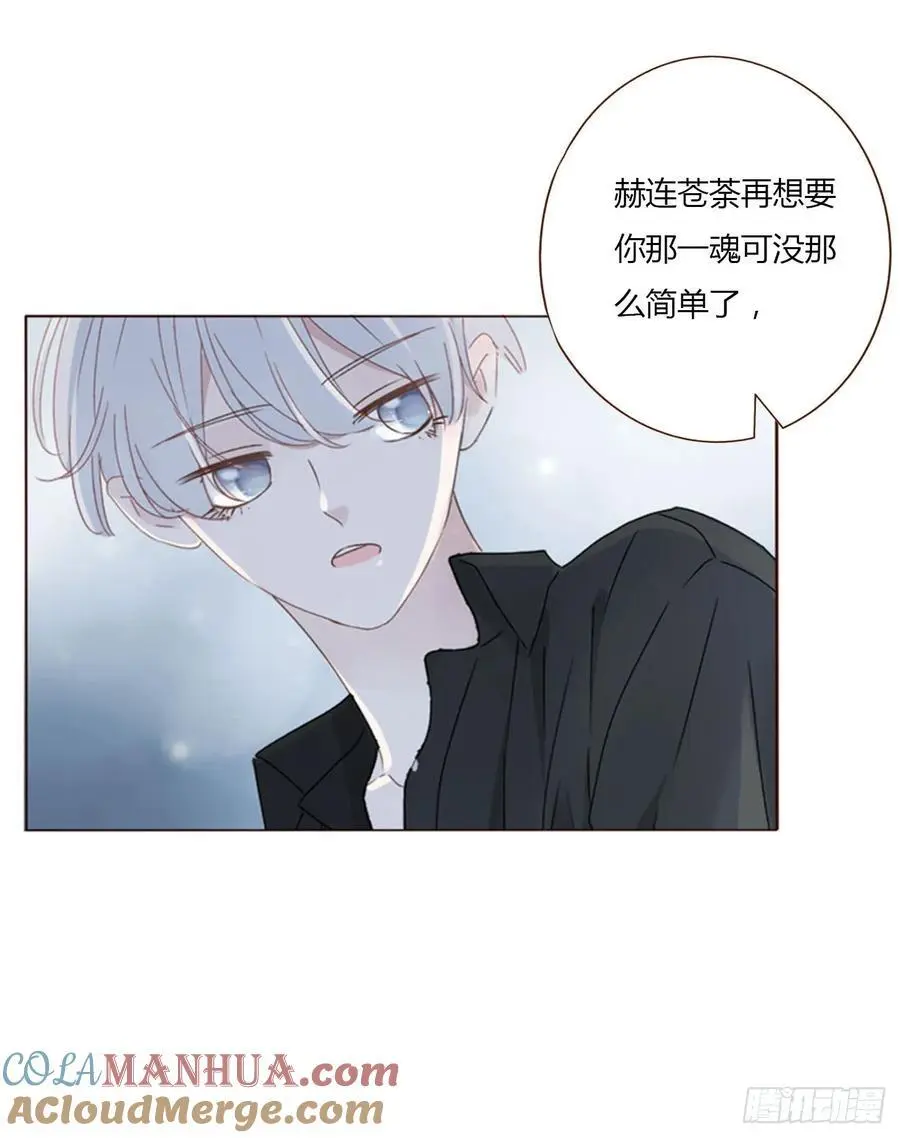 一一四章 卖身契 第11页