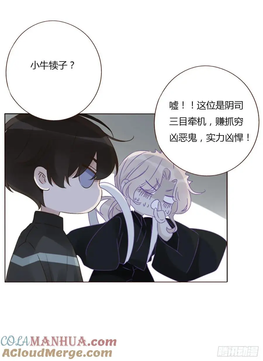 一一四章 卖身契 第29页