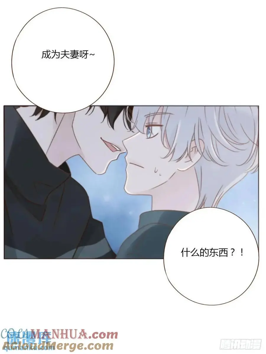 一一五章 成为夫妻 第33页
