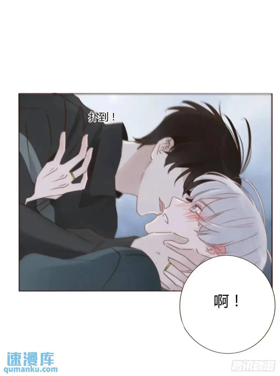 一一五章 成为夫妻 第34页