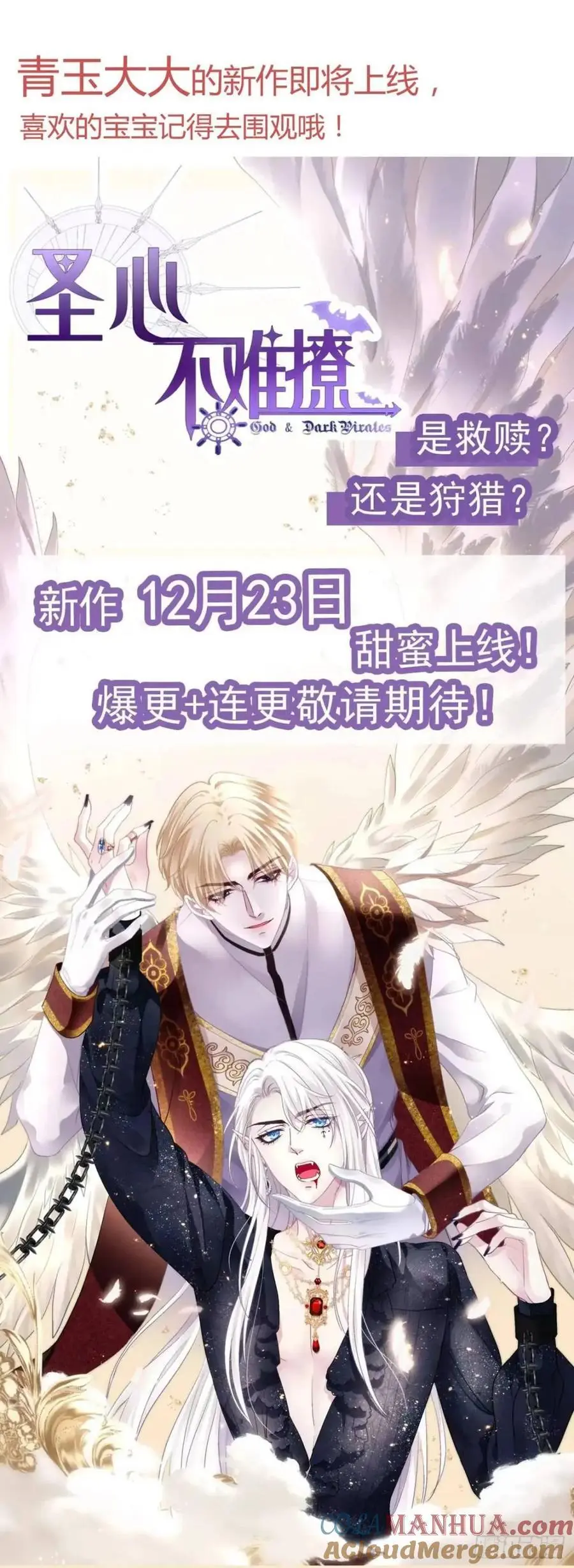 一一五章 成为夫妻 第41页
