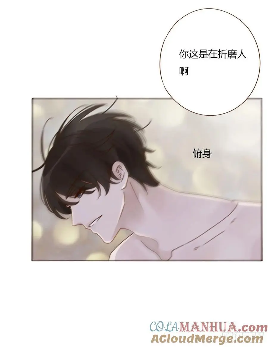 一一六章 猫妖 第13页