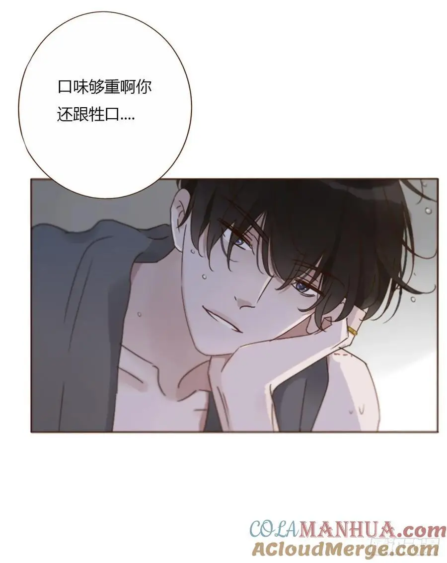 一一六章 猫妖 第21页