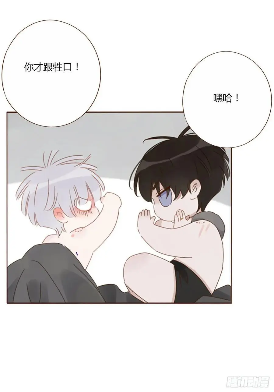 一一六章 猫妖 第22页