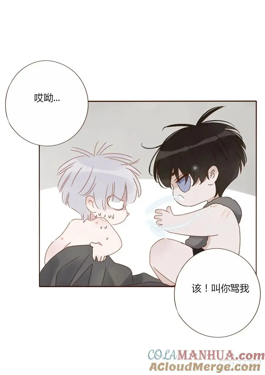 一一六章 猫妖 第23页