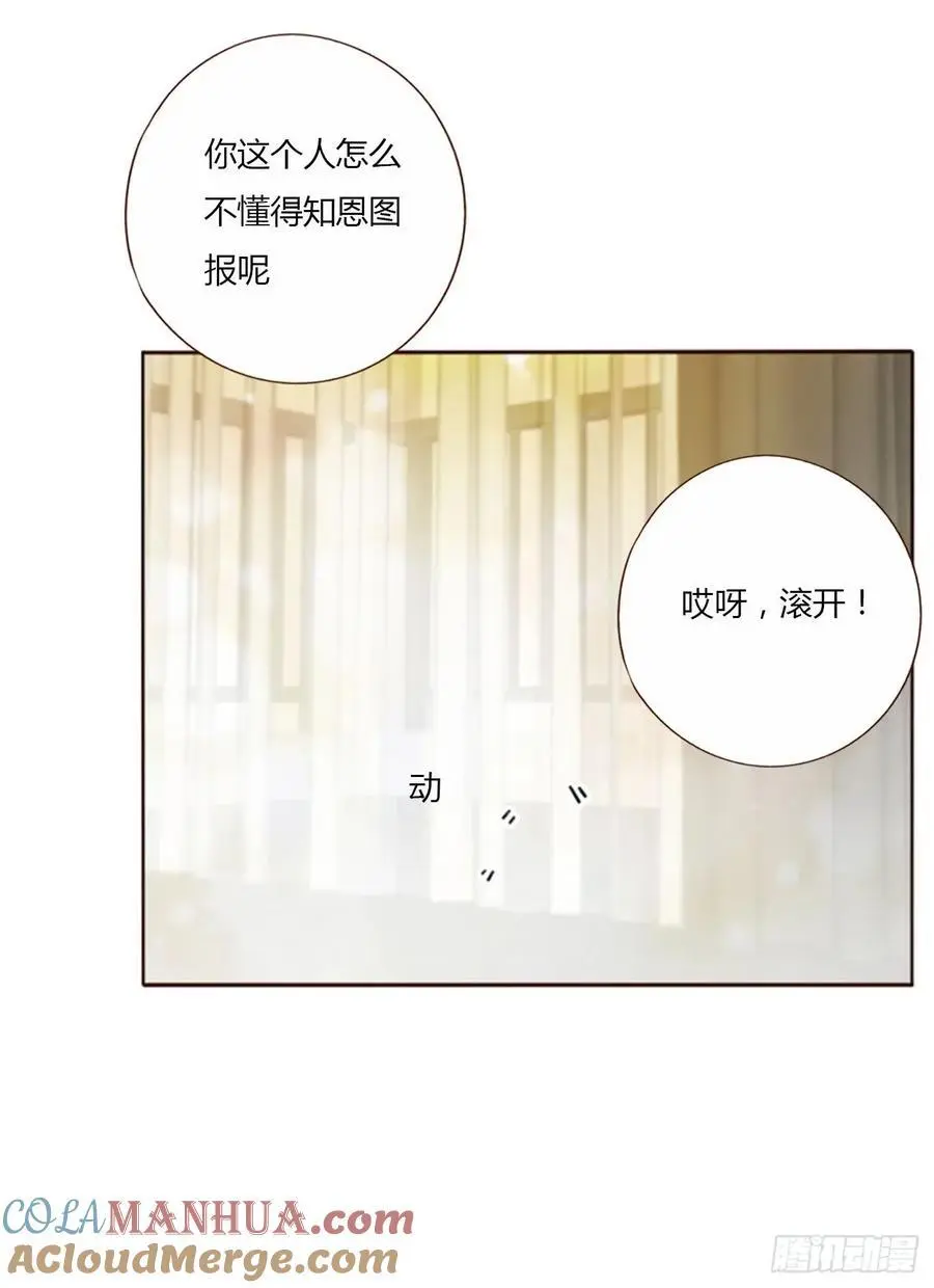一一六章 猫妖 第29页