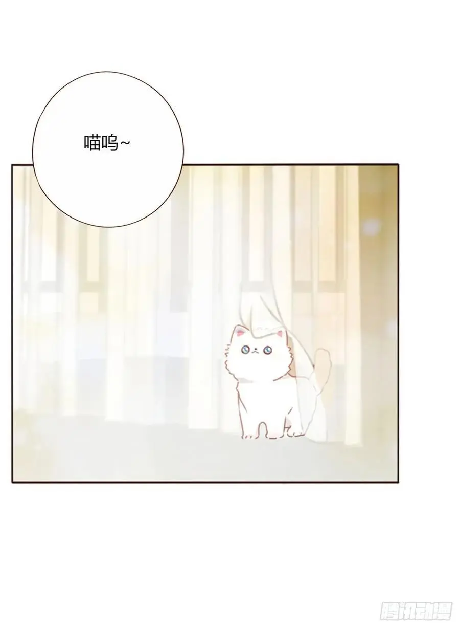 一一六章 猫妖 第30页