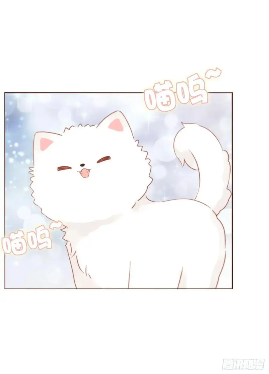 一一六章 猫妖 第32页