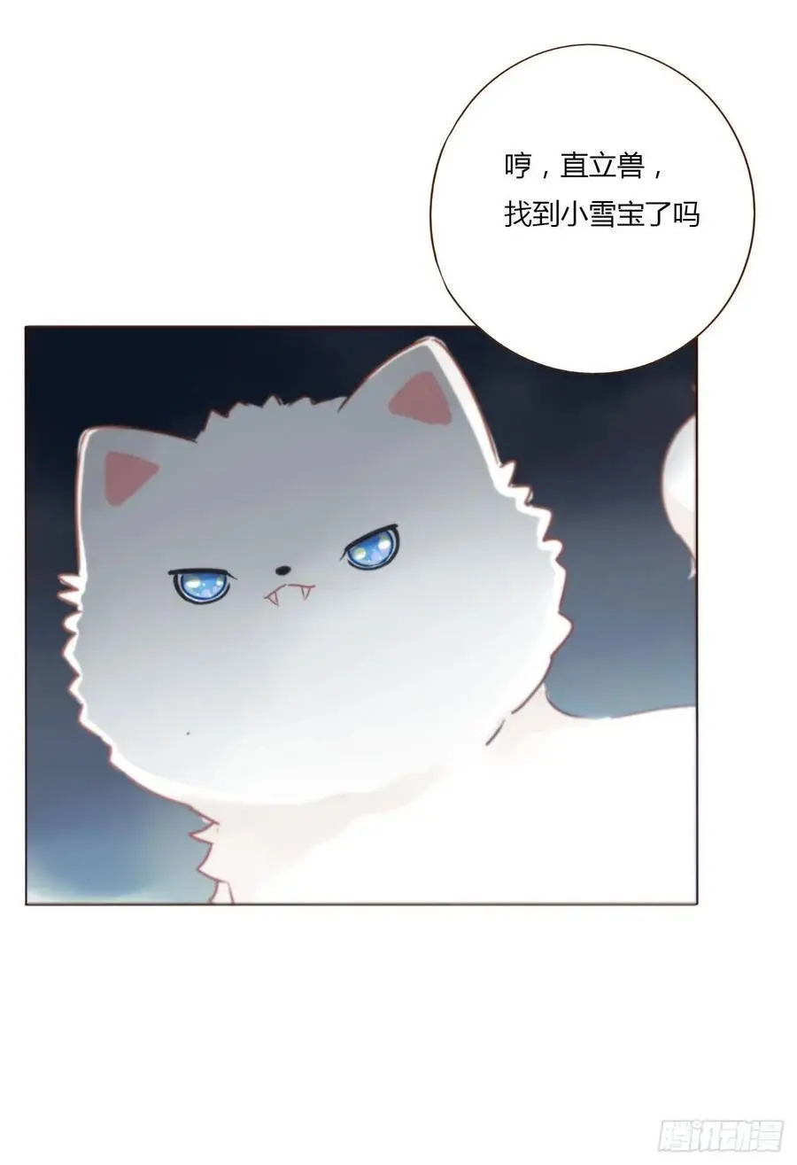 一一六章 猫妖 第34页