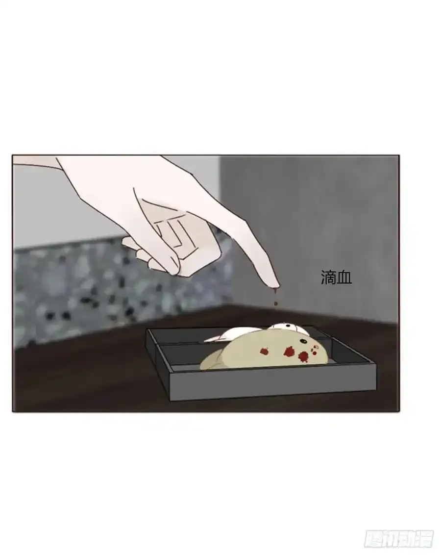九十八章 控魂3 第14页