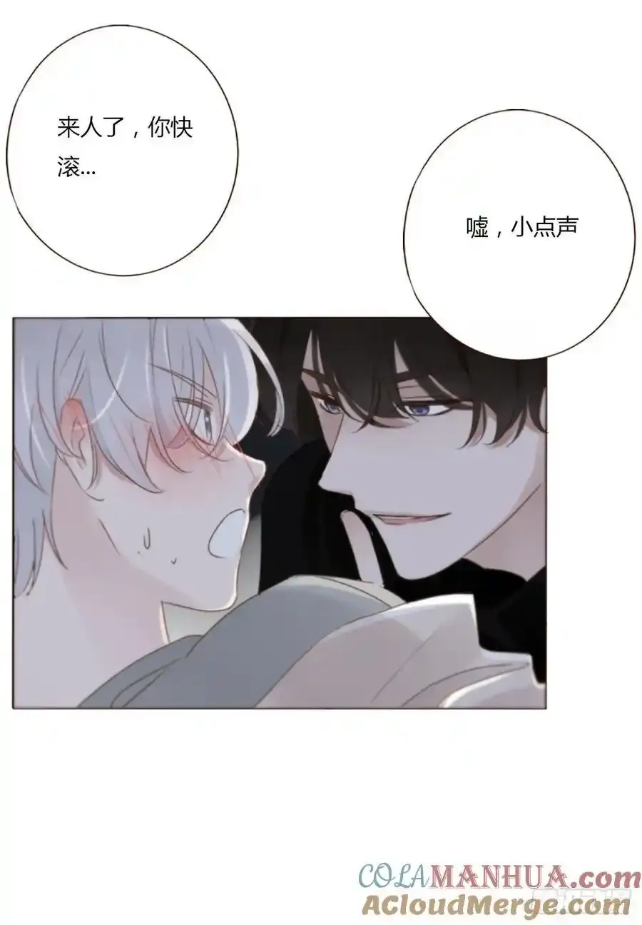 一一八章 佛珠1 第13页