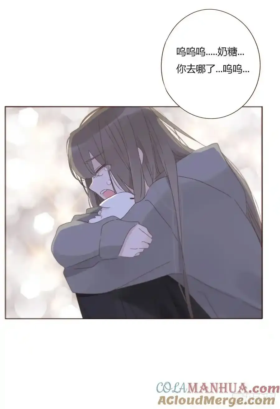 一一八章 佛珠1 第35页