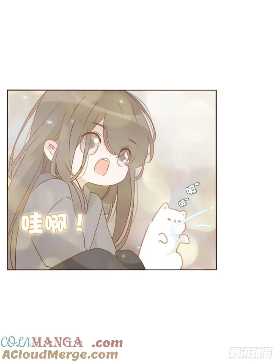 一二零章 佛珠3 第7页
