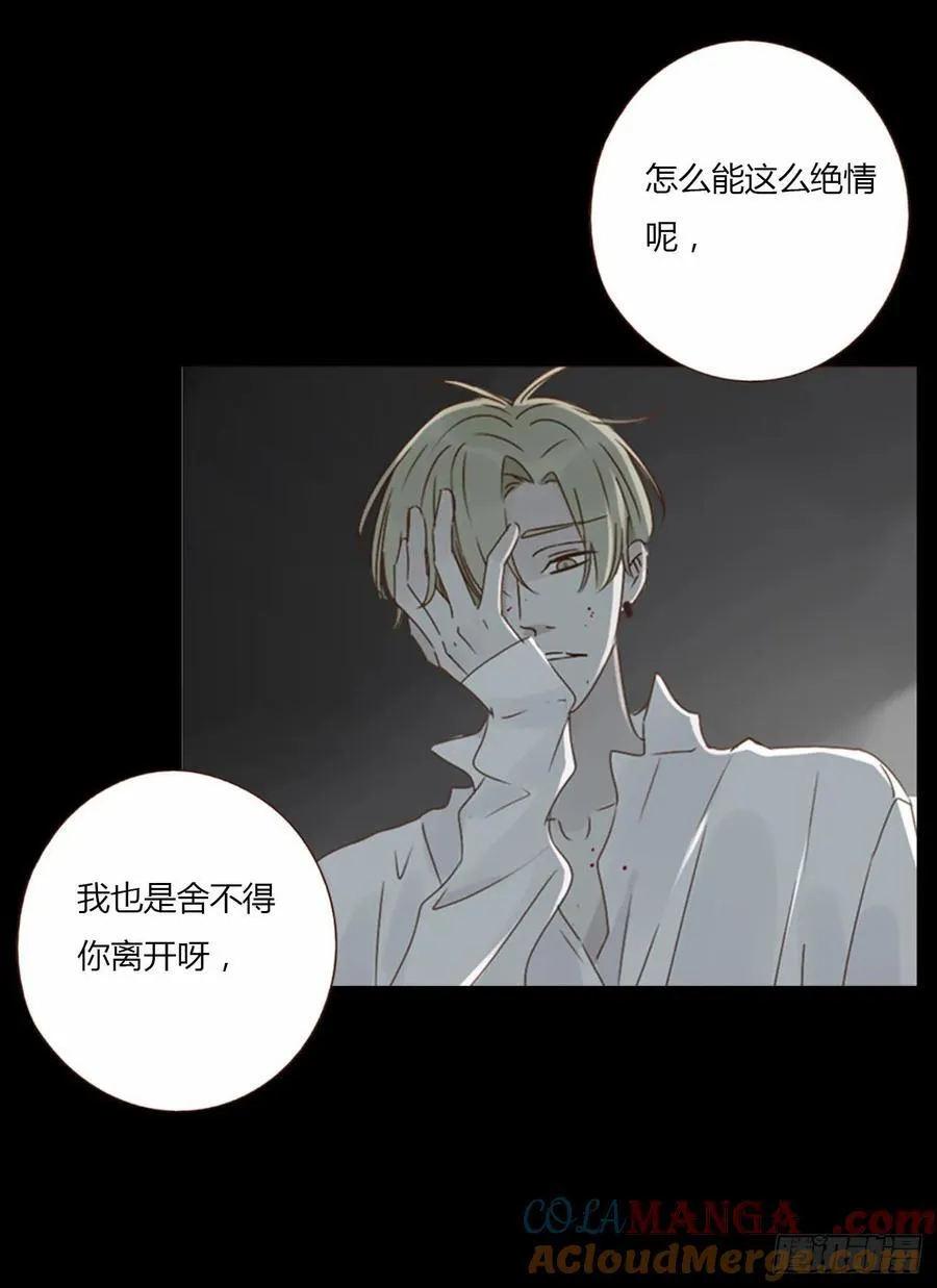一二一章 复仇1 第5页