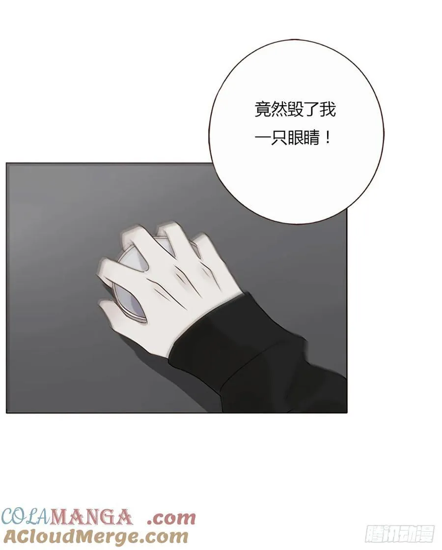 一二一章 复仇1 第37页
