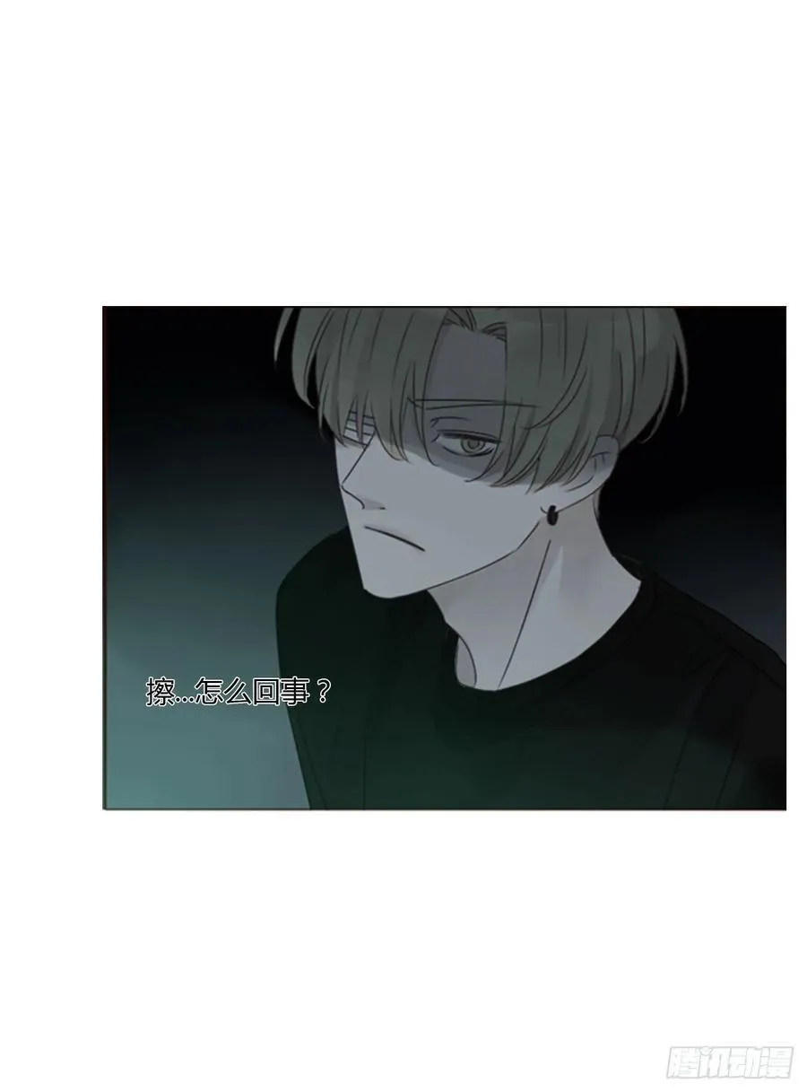 一二二章 复仇2 第6页
