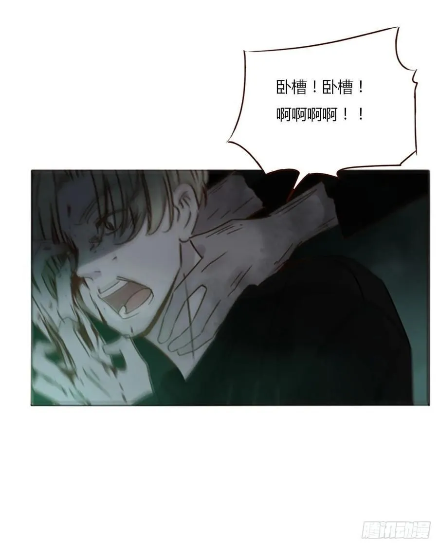 一二二章 复仇2 第12页