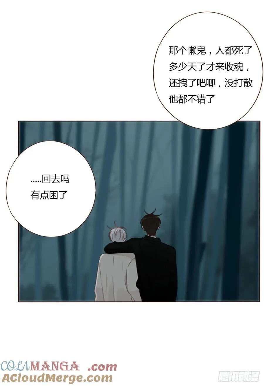 一二二章 复仇2 第31页