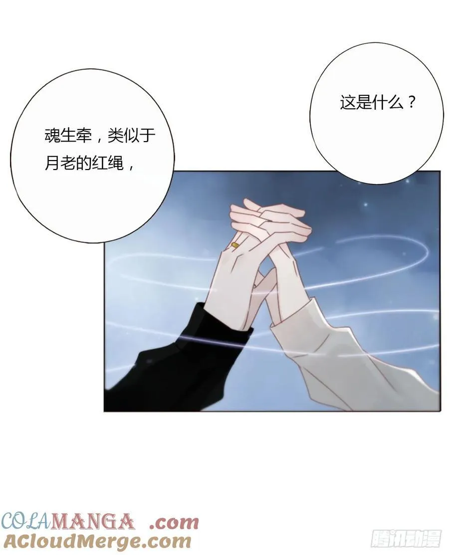 一二三章 契约生效 第21页