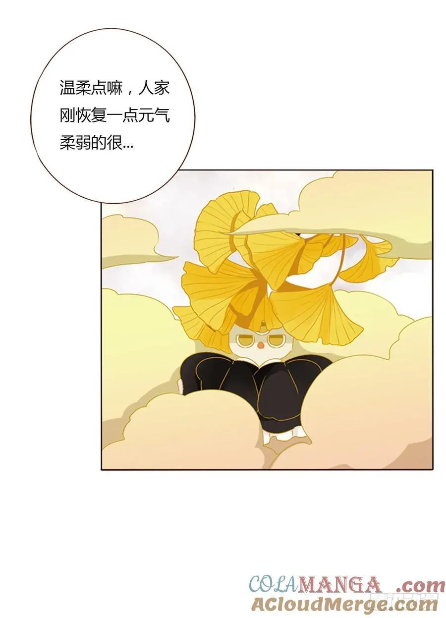 一二六章 喜新厌旧的人 第21页