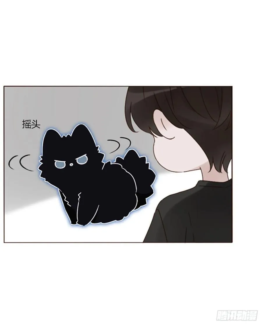 一二六章 喜新厌旧的人 第26页