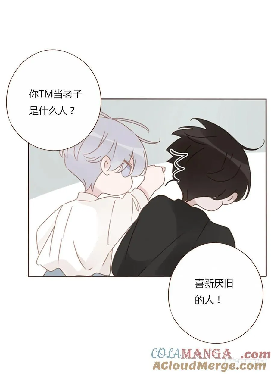 一二六章 喜新厌旧的人 第31页