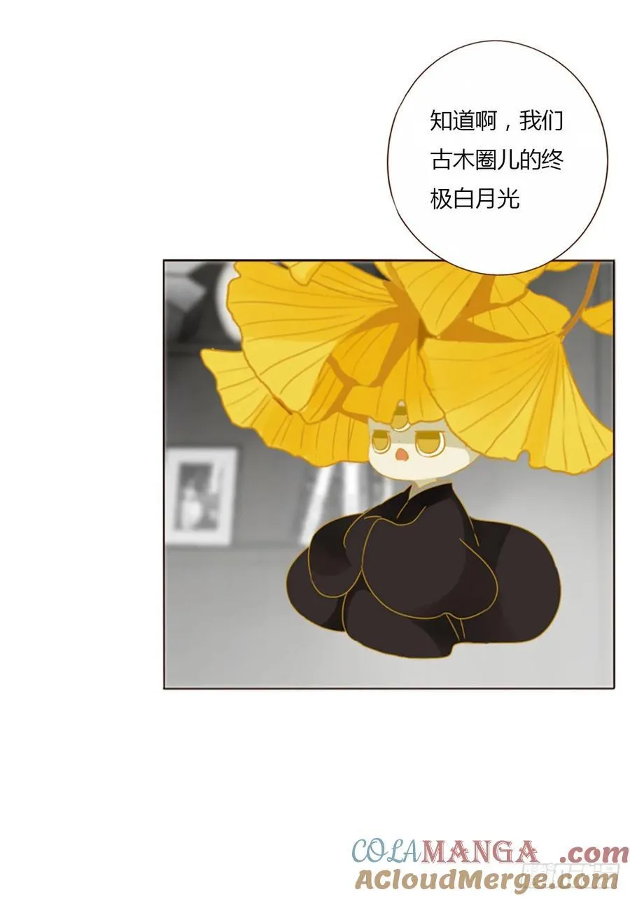 一二六章 喜新厌旧的人 第33页