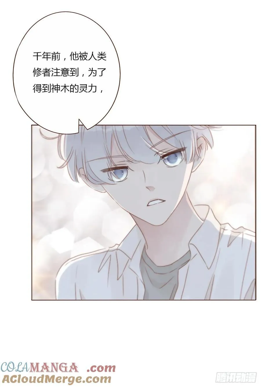 一二六章 喜新厌旧的人 第37页