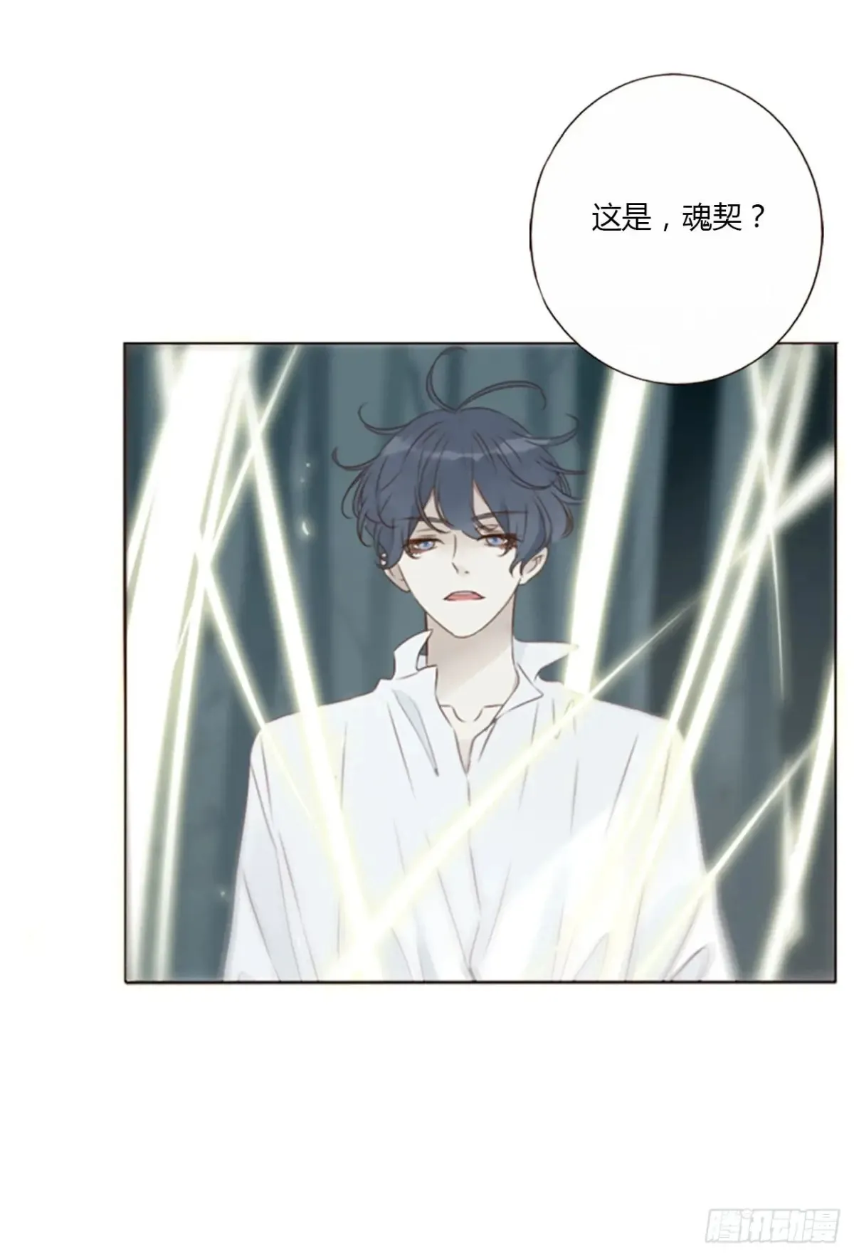 一三零章 蛮蟒 第29页