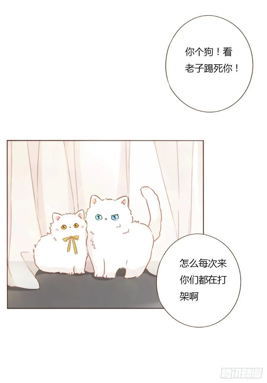 一三二章 小雪宝 第24页
