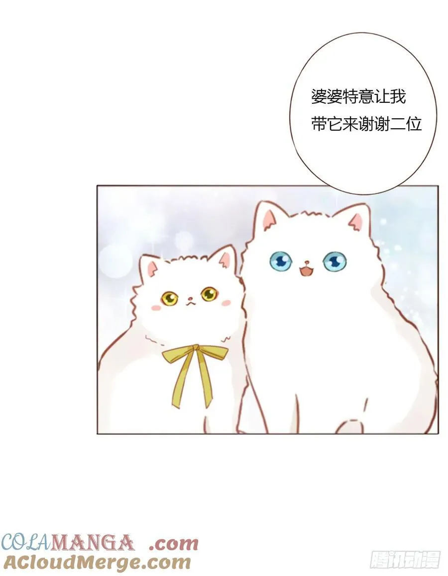 一三二章 小雪宝 第27页