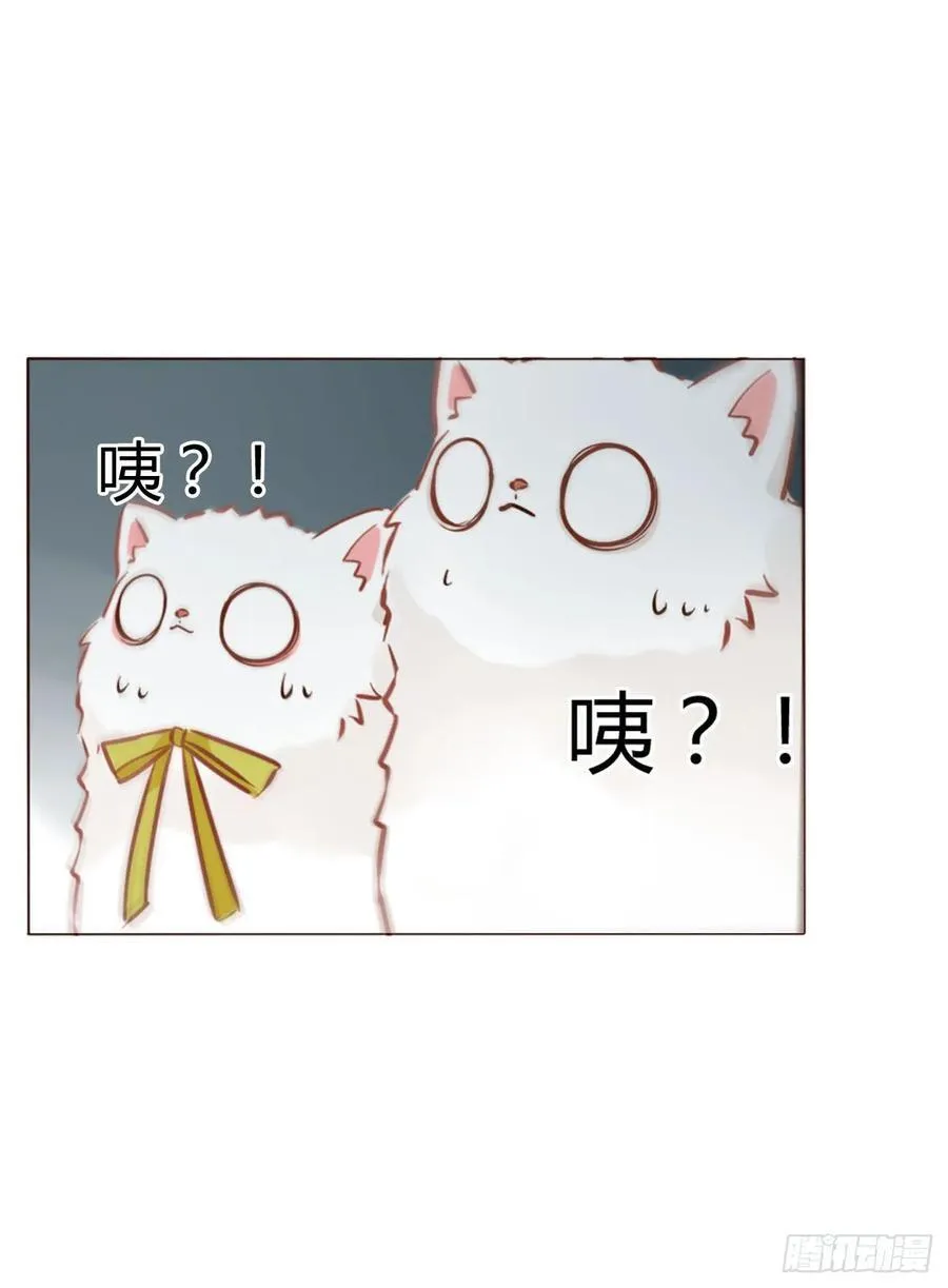 一三二章 小雪宝 第36页