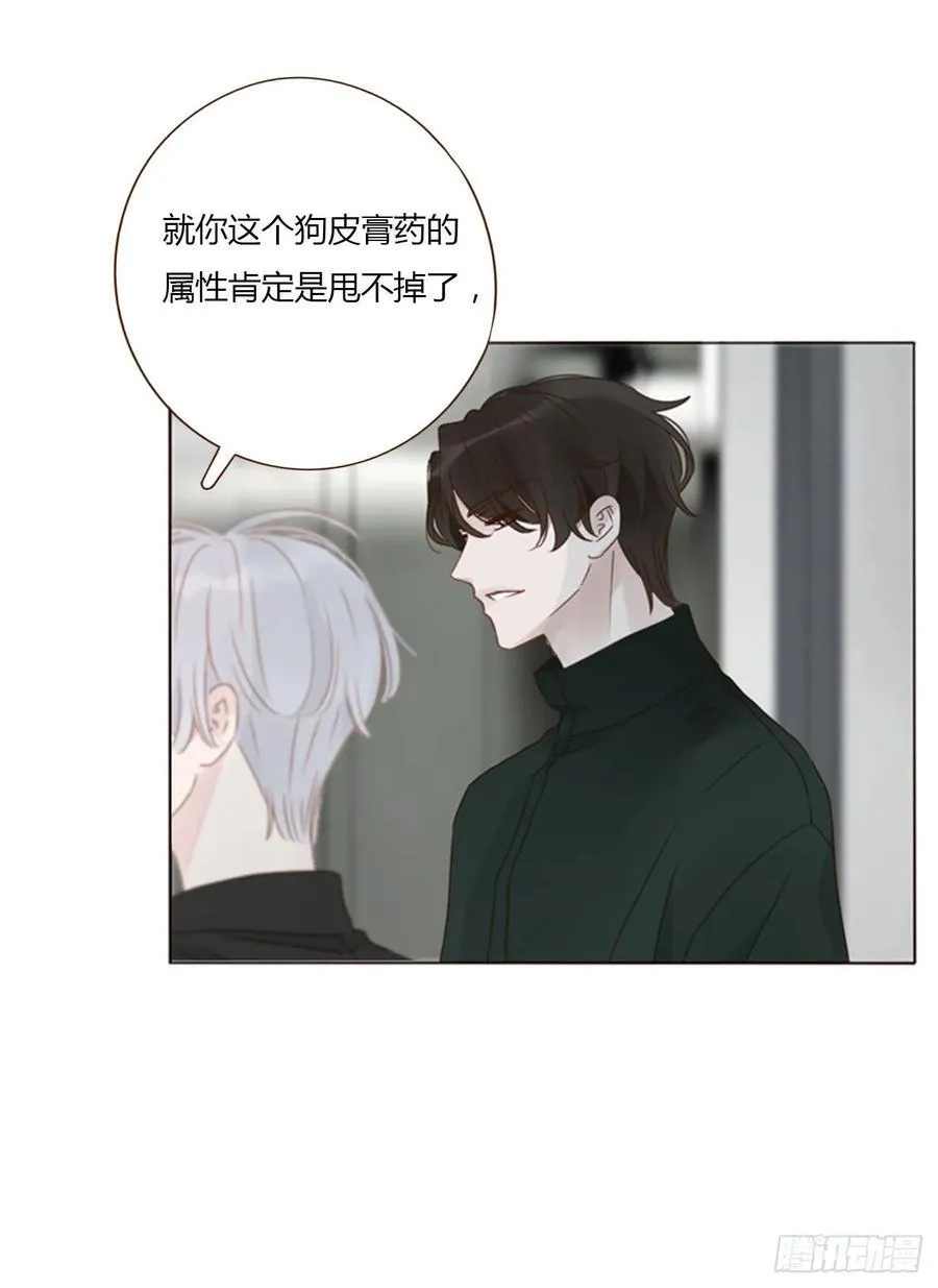 一三八章 女朋友1 第12页
