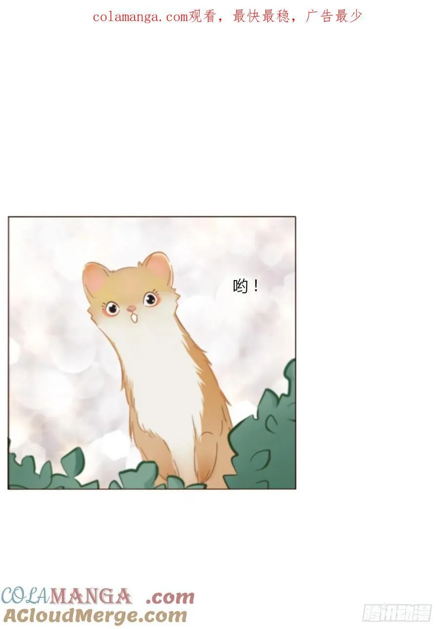 一四一章 叶梓 第1页